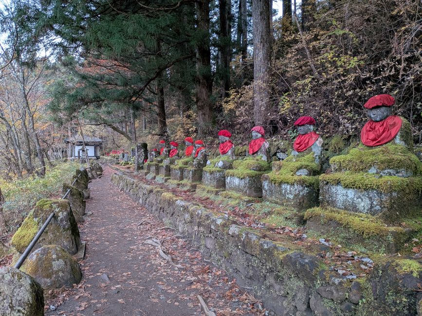 Forest walking trail on the Nakasendo with a mossy stone path through cedar trees