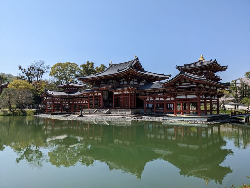 Matcha, Mist, and the Morning Bell: Five Hours in Uji